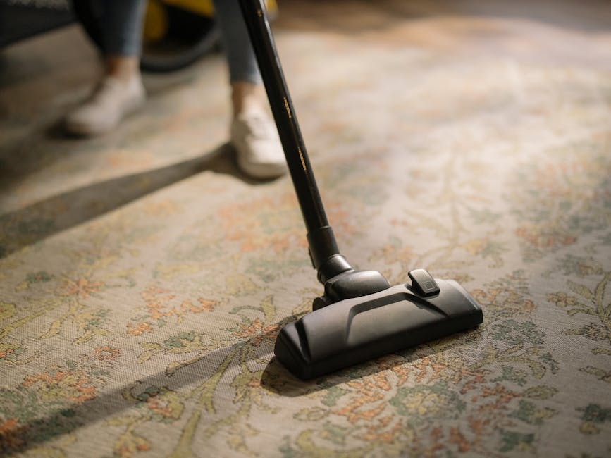 A professional cleaner from Carpet Cleaning Sidcup is performing surface deep cleaning in a residential living room, using protective gear including a white full-body suit, gloves, and a mask. The cleaner is operating a steam cleaning machine, which emits steam onto a light-colored carpet, indicating a sanitation process. The room features a wooden bookshelf with decorative items and books, a potted plant, and framed decorations on the white walls, all illuminated by natural lighting. The carpet appears to be in a clean and tidy state, with visible steam suggesting an active cleaning session aimed at maintaining hygiene and deep-cleaning the flooring surface in a domestic setting.